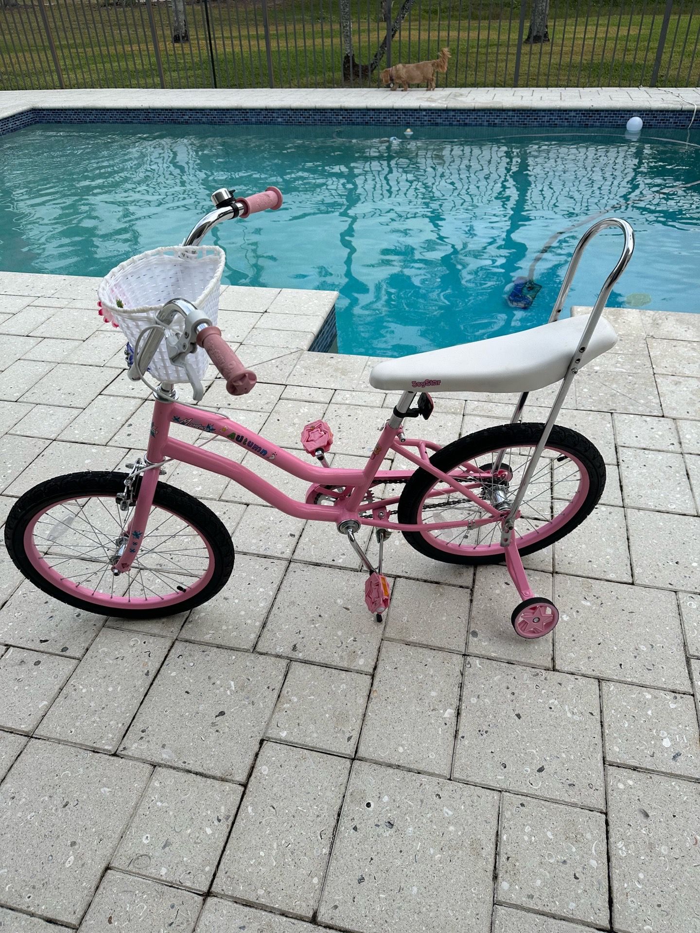 Joy Star Manteca Autumn Girls Bike