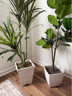 2 Faux Plants