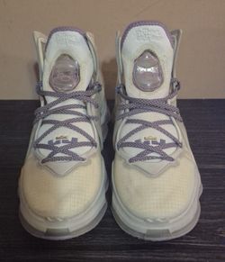 Nike LeBron 19 "Strive for Greatness" - Mn(Sz 8.5)