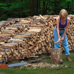 Firewood/ fire wood