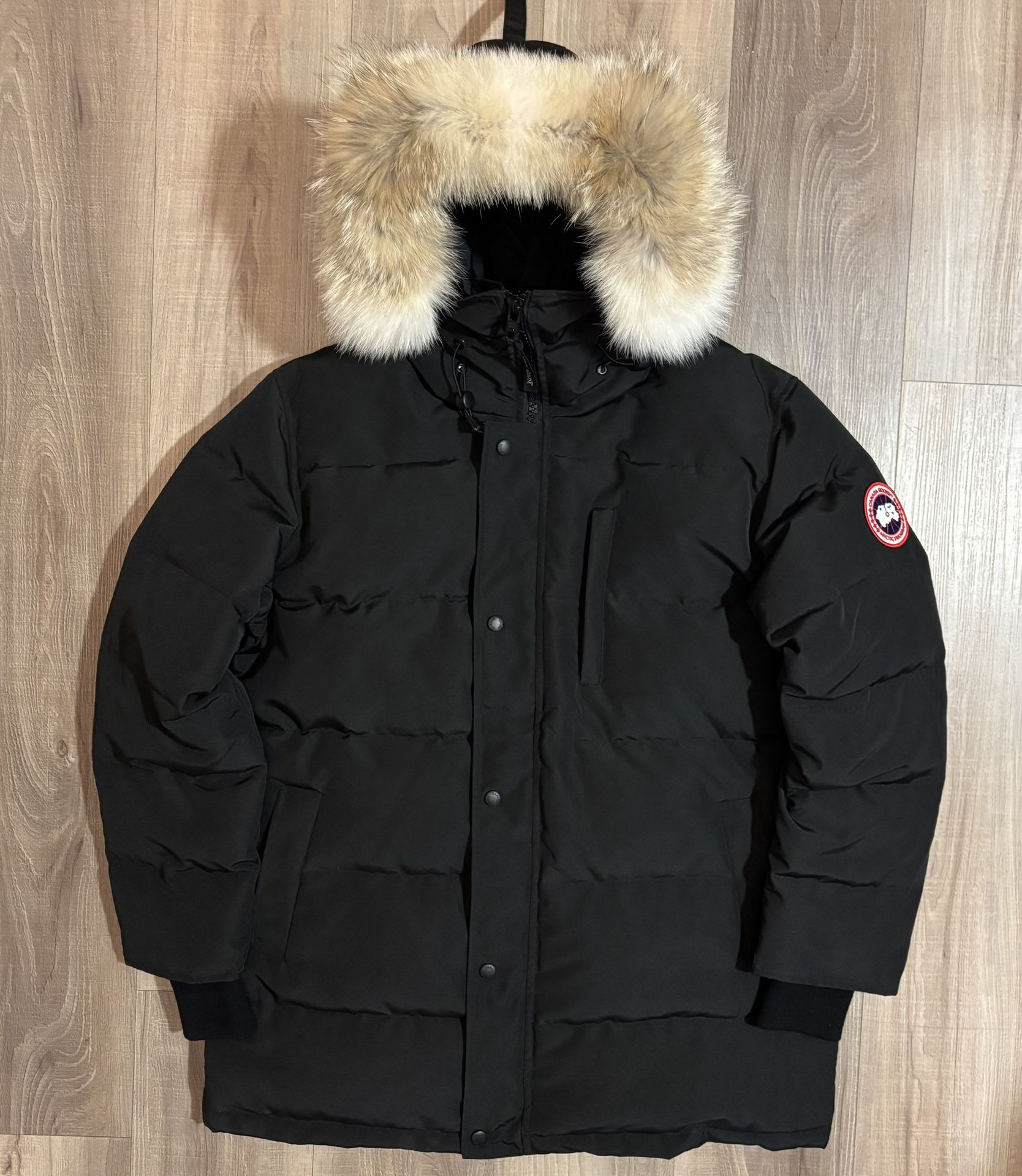 Winter Jacket Multiple Sizes