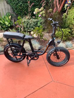 RadRunner EBike
