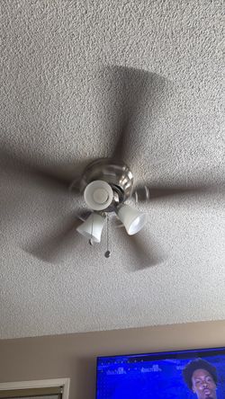 Ceiling fan with lights