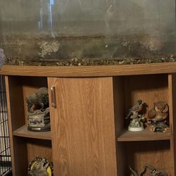 Fish Tank 