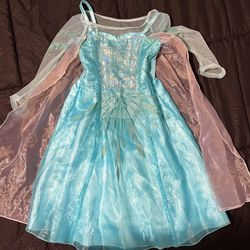 Disneyland Elsa Dress – Like New!