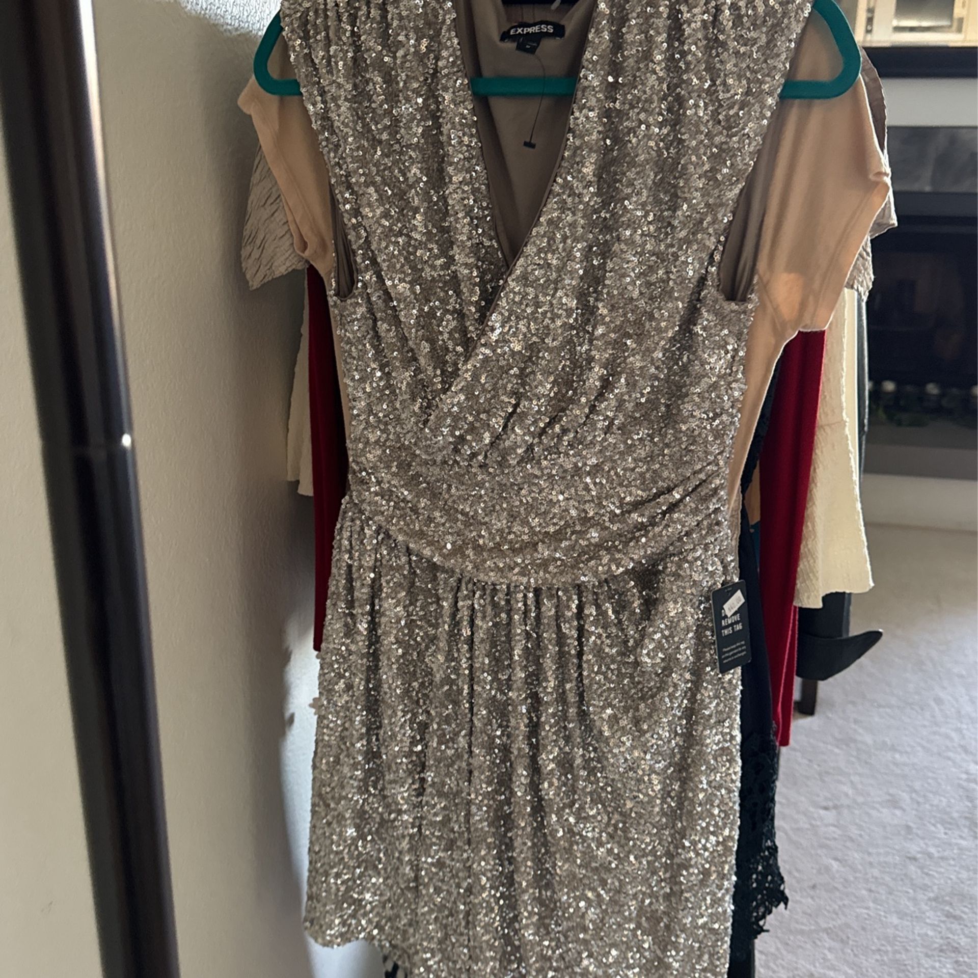 Beautiful silver sequins Express brand dress brand new