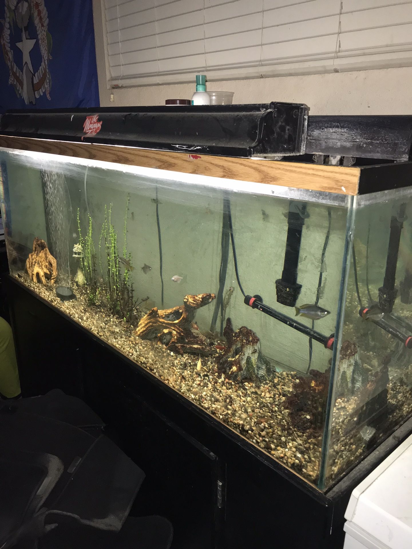 Aquarium fish tank