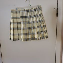 New Skirt