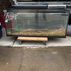 60 Gallon  Fish Tank 