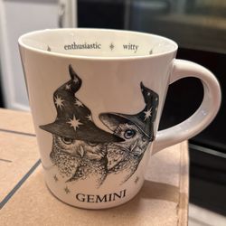 Gemini Owl Mug