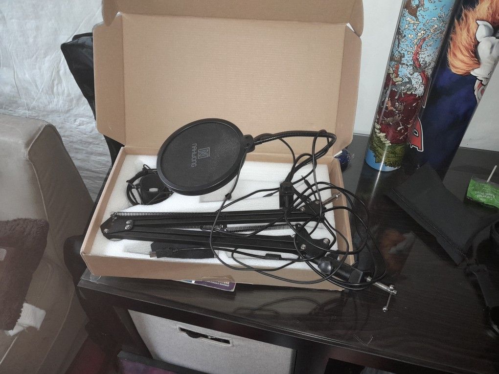 Music Mic
