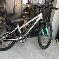 18 Spd Girls Bike