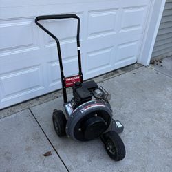 Make Offer: Walk Behind Leaf Blower 