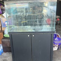 37 Gallon Fish Tank/ Terrarium