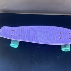 Mini Skateboard – 22.5” – $15