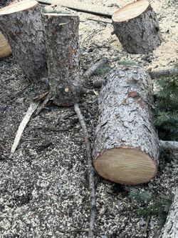 FREE FIREWOOD / KINDLE
