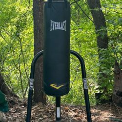 Everlast Punching Bag & Stand 