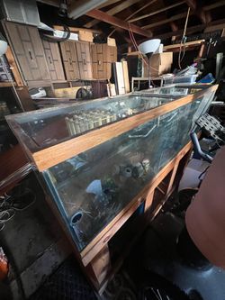 125 Gallon Fishtank with Filter