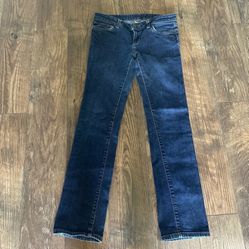 Patagonia Jeans Size 27 Women’s 