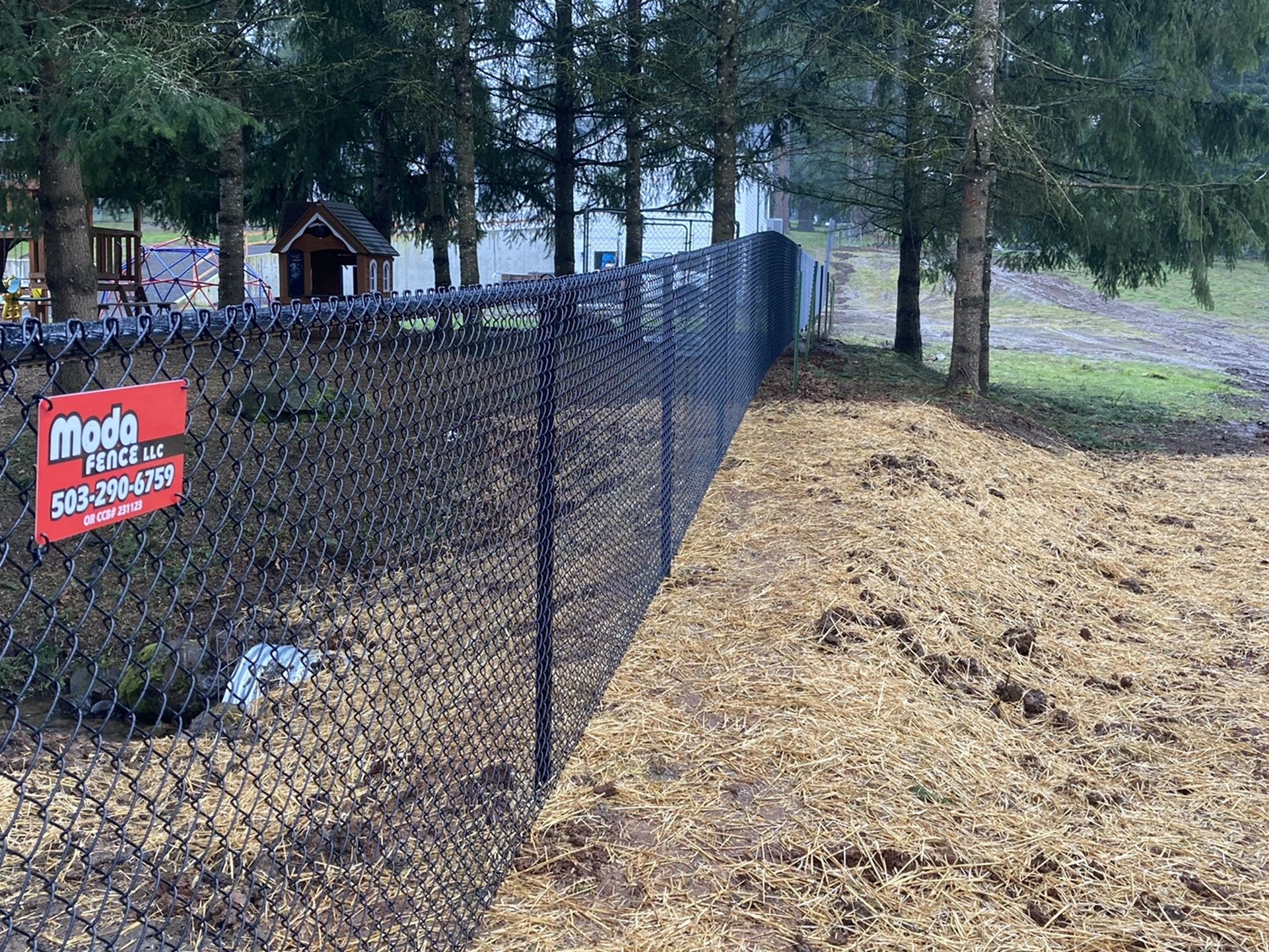 Fence