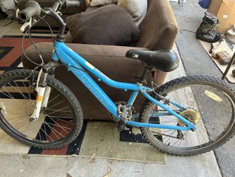 24” Diamondback Mountain Bike