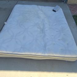Sleep Number P5 Mattress - Eastern King