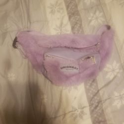 Union bay Fanny Pack Purple 