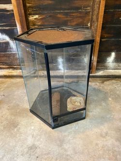 Thrive Vertical Hexagon Tropical Reptile Terrarium - 20 Gallon -10.1x16.6x22.4