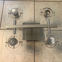 Directional Light Fixture - Brushed Stainless and Glass - Track Light Lighting