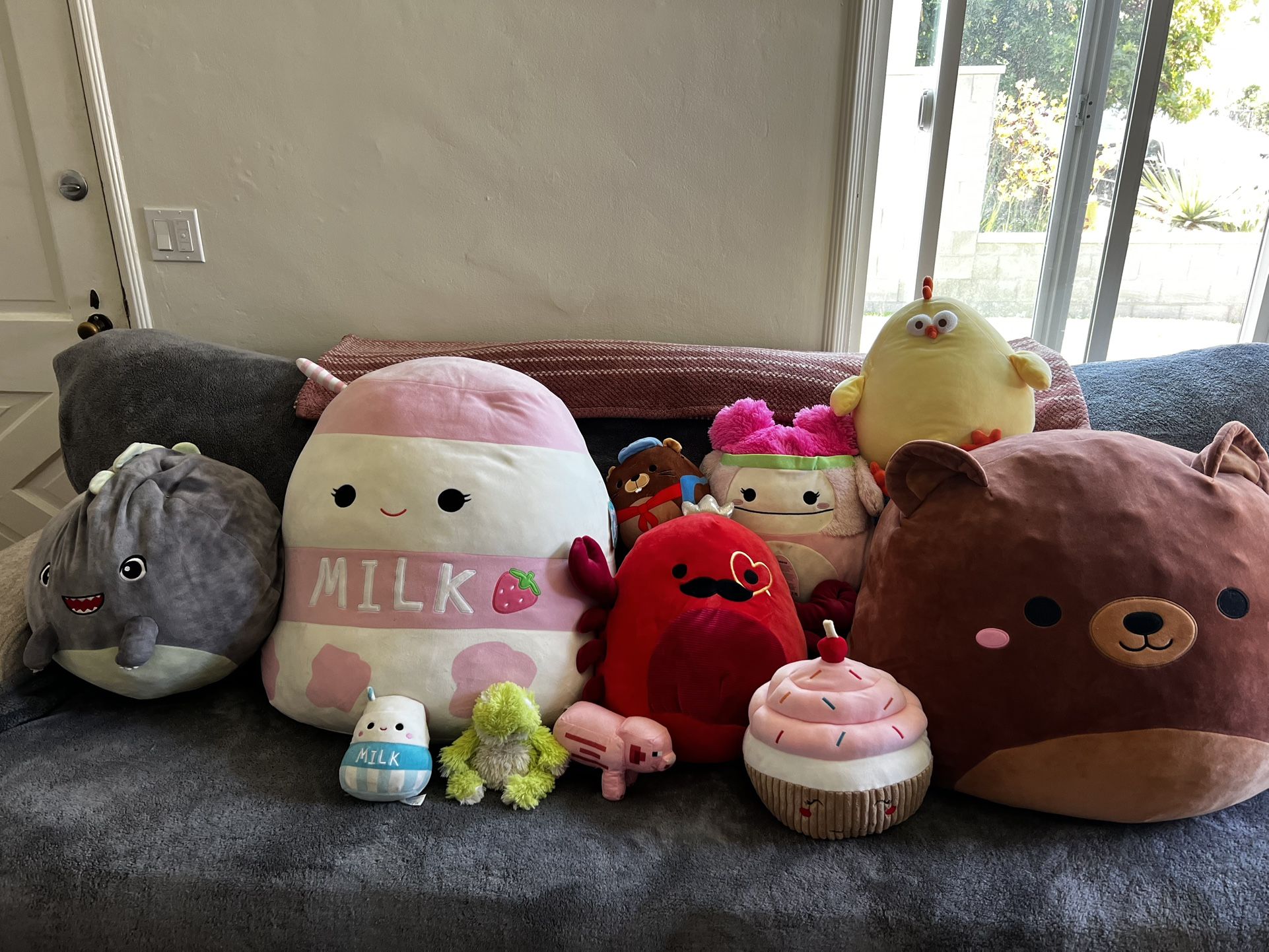 Squishmellows And Plushies