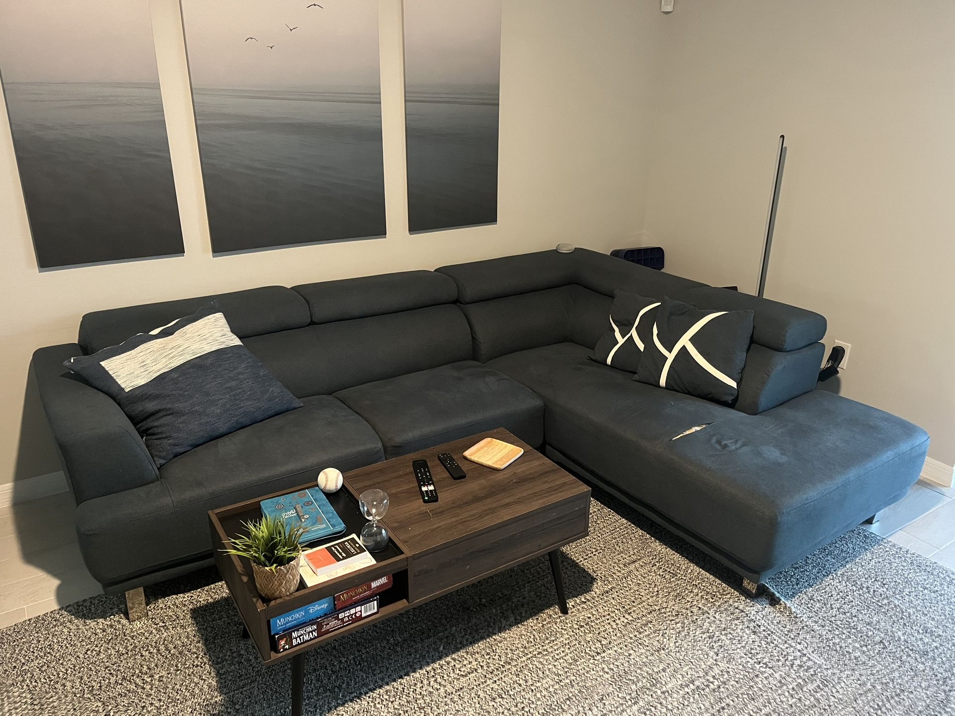 Navy Blue Sofa Sectional