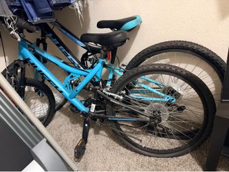 Adult bikes (2)