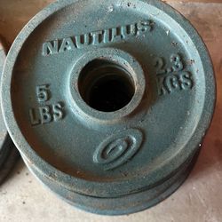 5lbs Weight