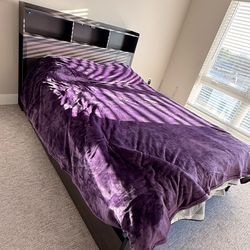 Queen Bed Frame with storages, USB Charging station and USB lights
