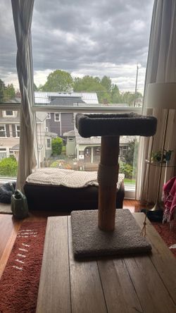 Large, Single Tier Cat Tree
