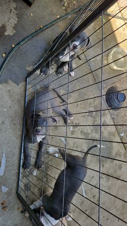 Heavy duty cage