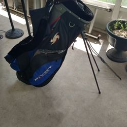 adult size pivot ogio performance golf bag