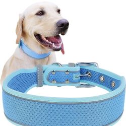 Large  Dog Collar 