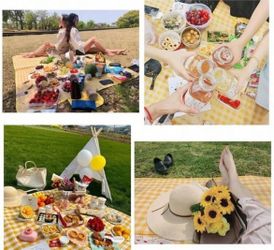 1pc Picnic Mat, Moisture-Proof Mat, Thick Outdoor Picnic Camping Tent Ground Mat, Spring Travel Seat Cushion, Waterproof Lawn Mat, Foldable