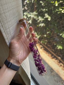 Dried lavender in glass bottle
