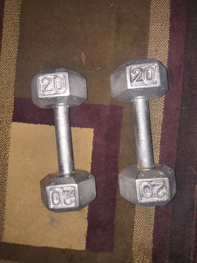 Pair Of 20 Lb Dumbbells 