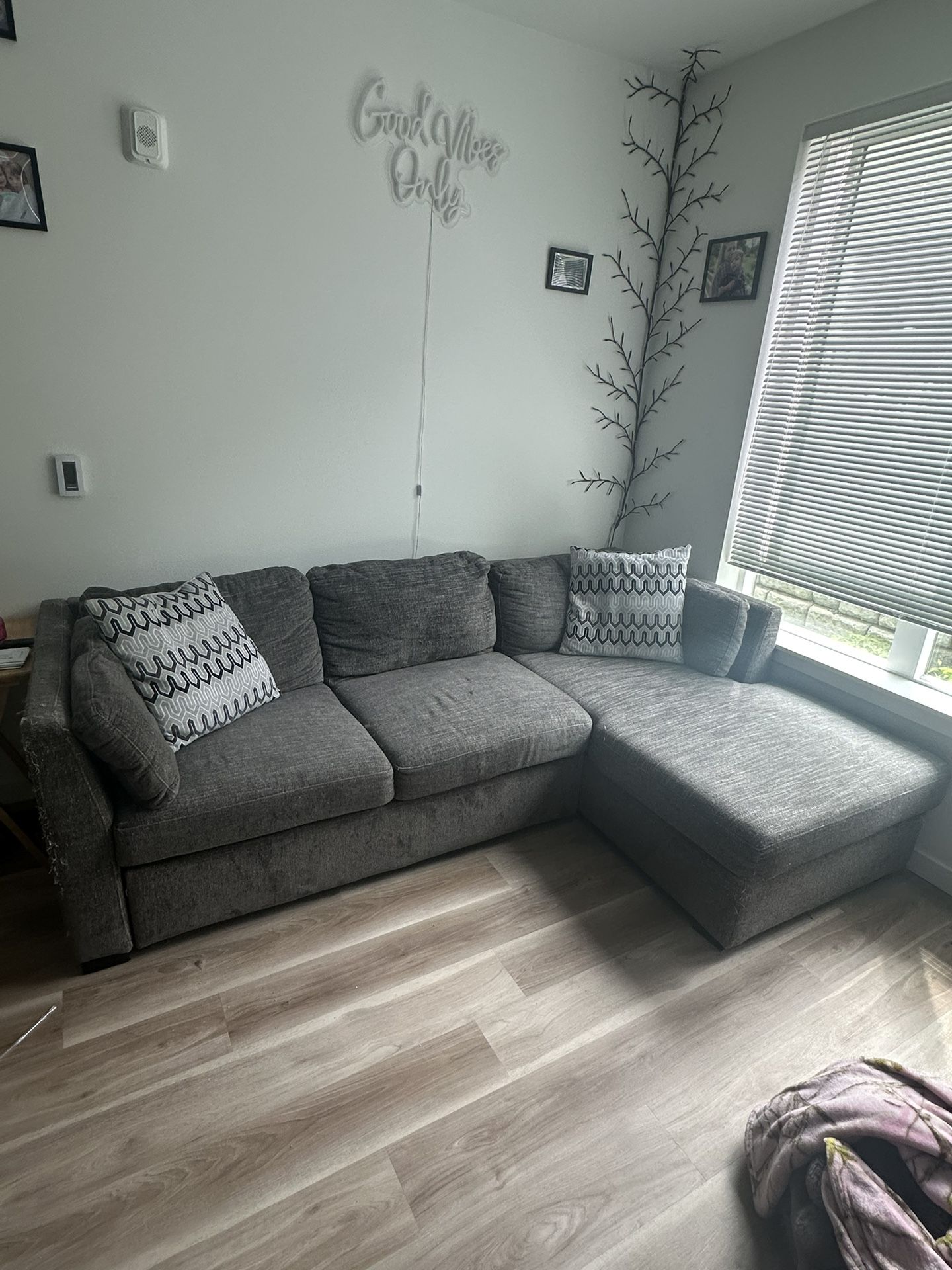 Grey Sectional Pull Out With Storage Chaise