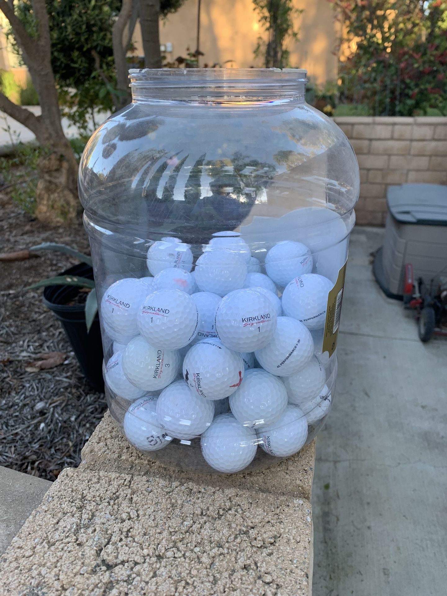 50 Mint Kirkland Golf Balls