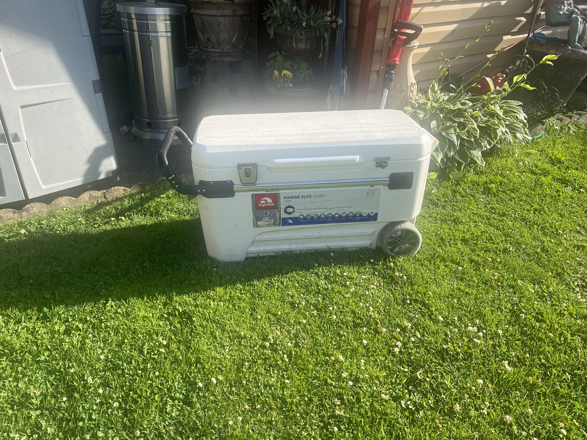 Igloo Cooler