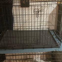 Dog Cage 