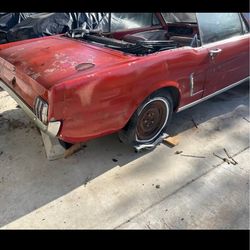 1964 1/2  mustang factory v8 convertible