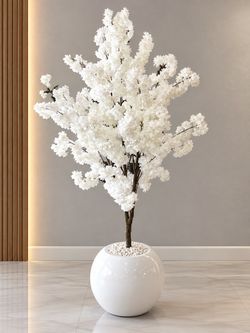 Cherry blossom