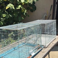 2 free bird cages Donation 1$