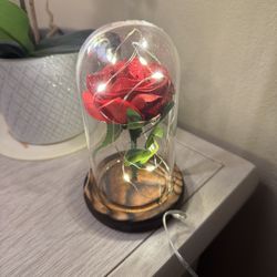 Red Sparkly Rose in Glass Dome with Lights