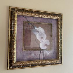 Framed Picture Wall Art 